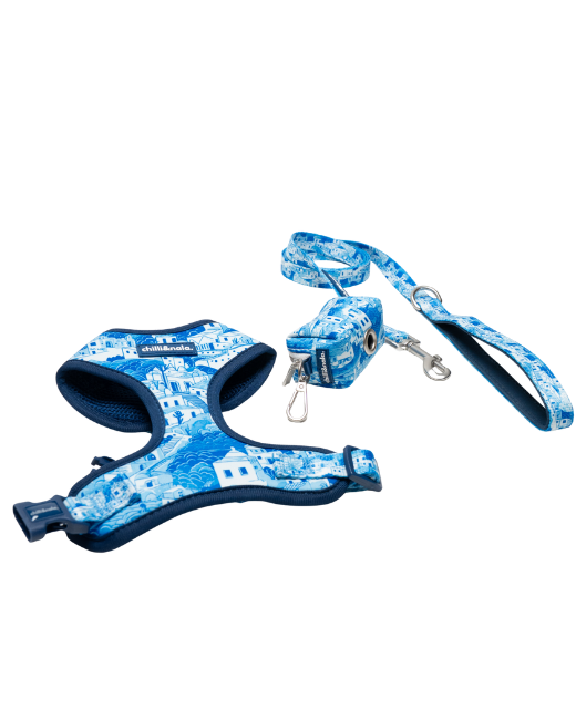 Set | Harness & Leash | Santorini Serenity