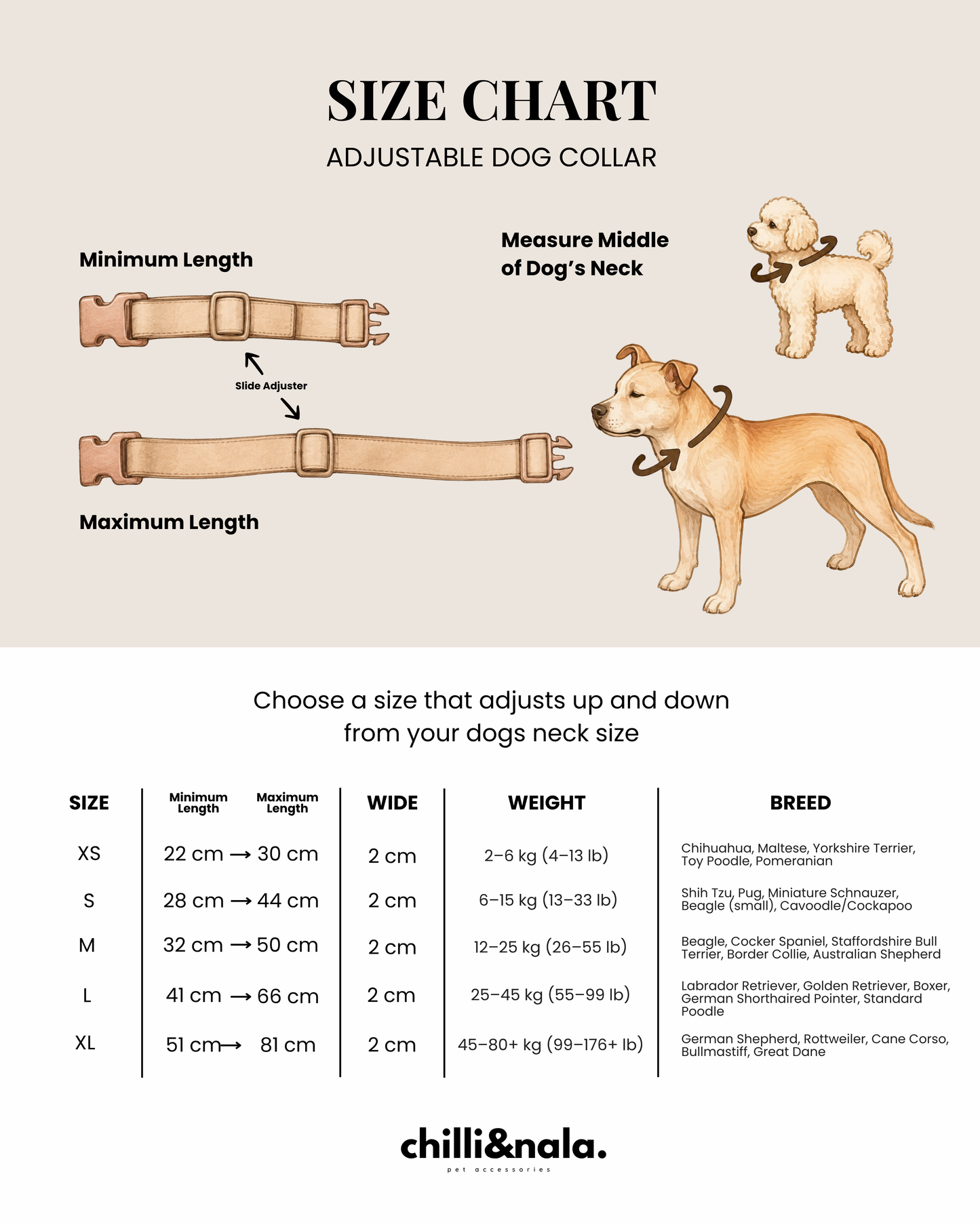 Dog Collar | Amalfi Breeze