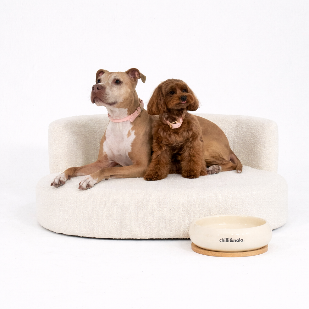 The Home Edit | Bouclé Pet Lounge + Signature Pet Bowl