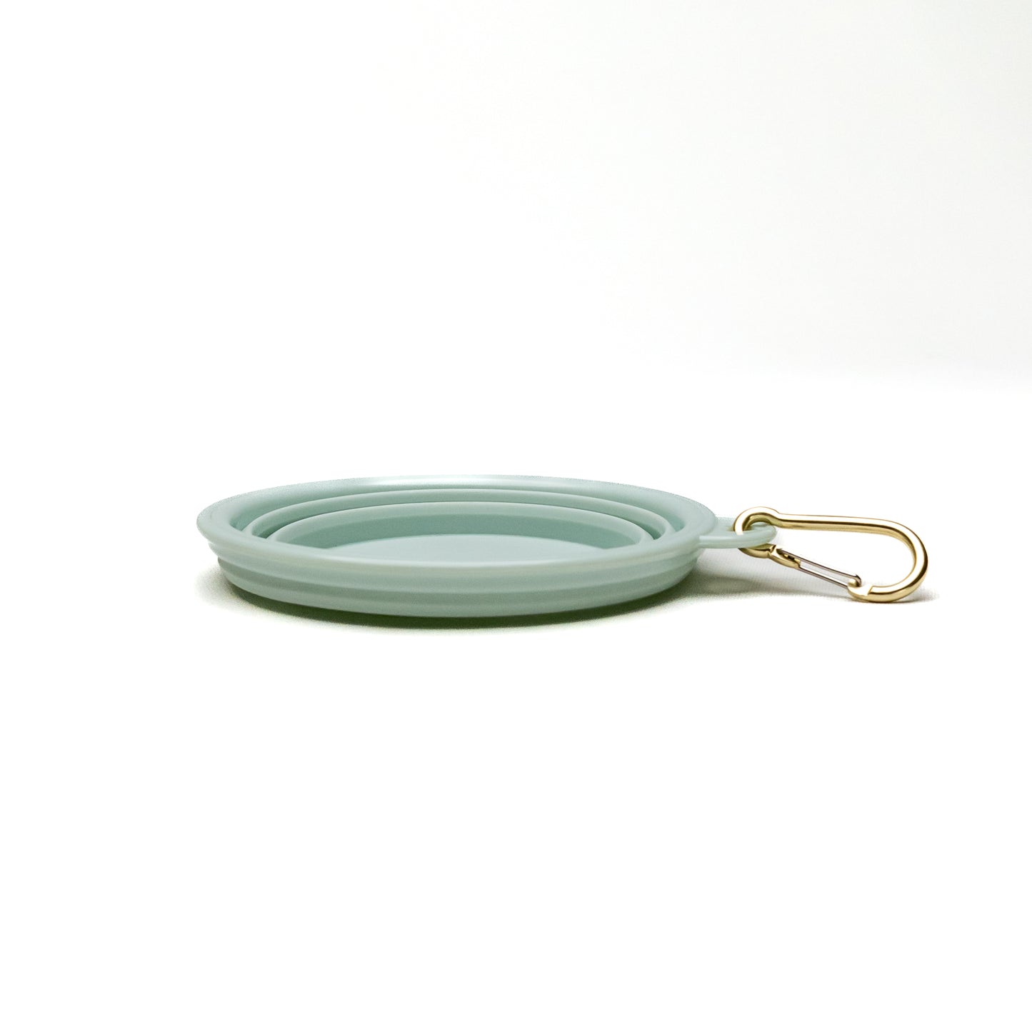 Collapsible Portable Silicone Travel Dog Bowl | Mint