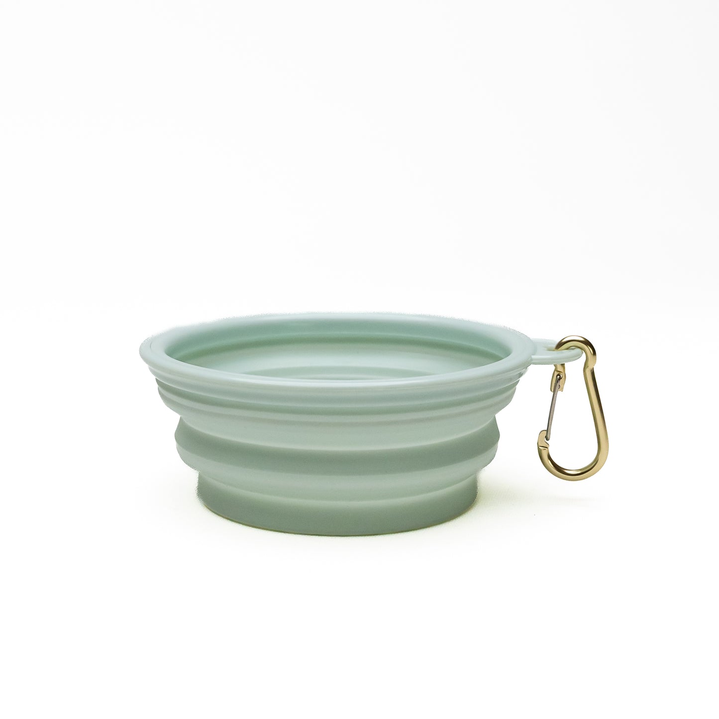Collapsible Portable Silicone Travel Dog Bowl | Mint