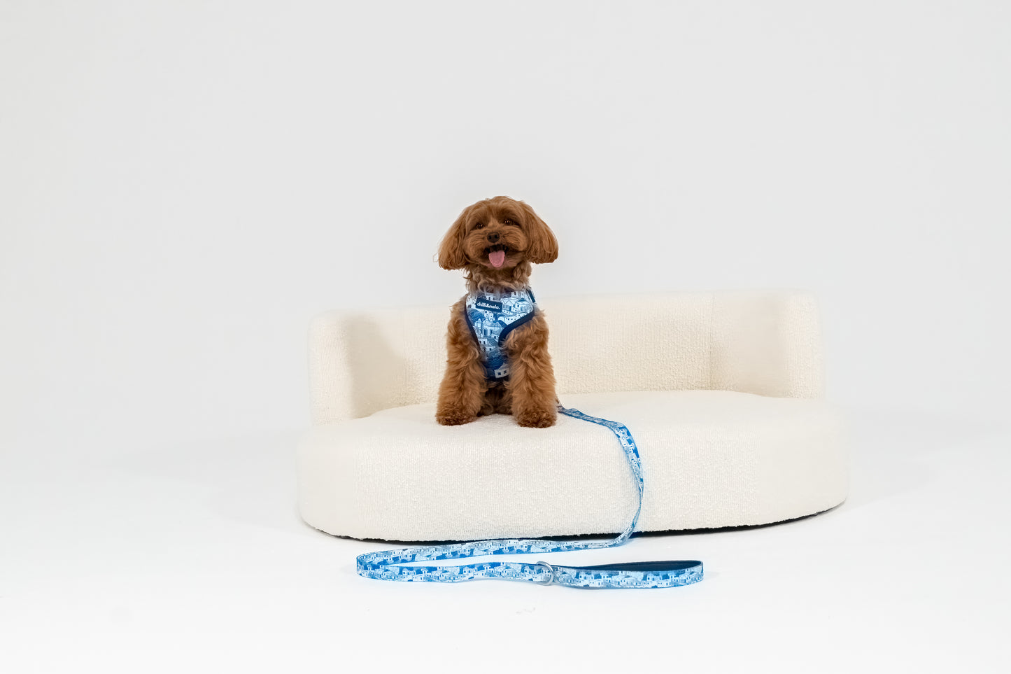 Set | Harness, Collar & Leash | Santorini Serenity