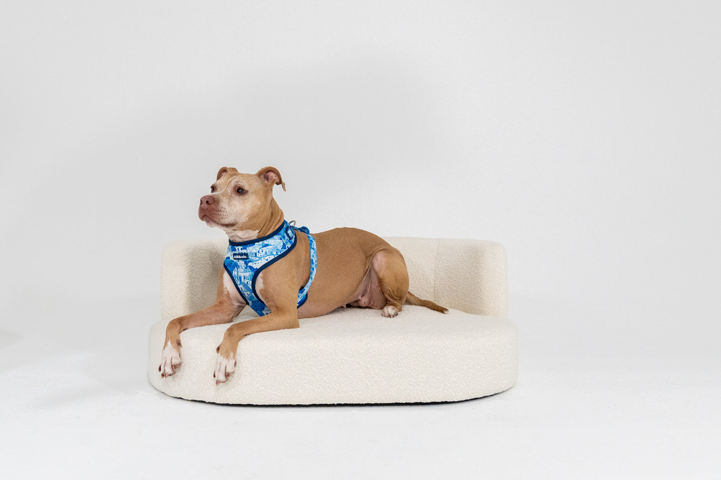 Set | Harness & Leash | Santorini Serenity