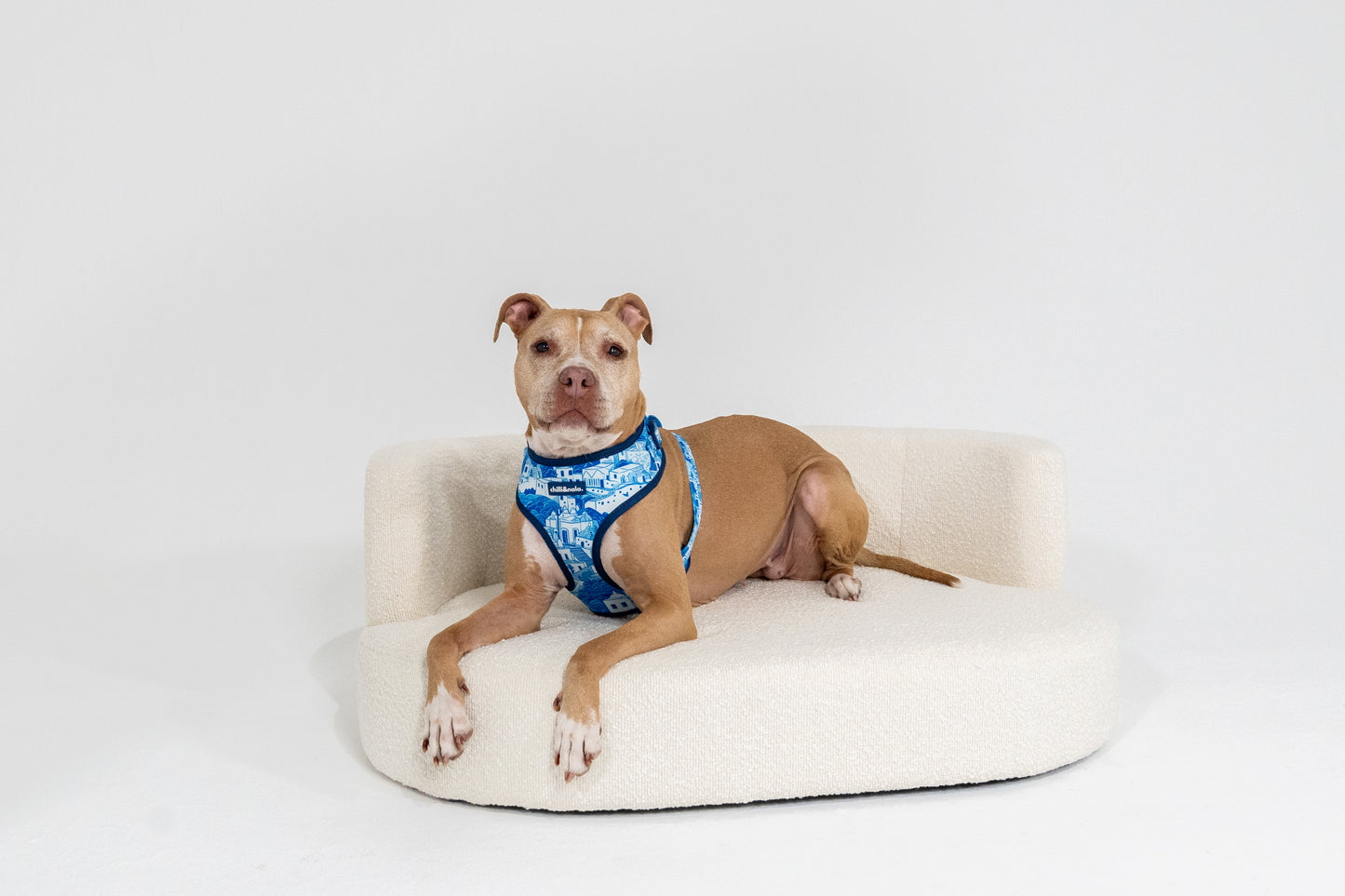 Adjustable Dog Harness | Santorini Serenity