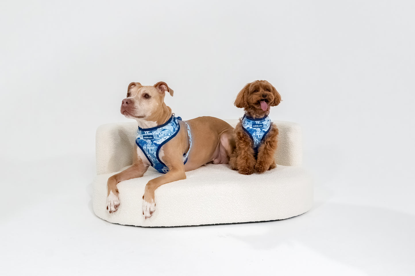 Adjustable Dog Harness | Santorini Serenity