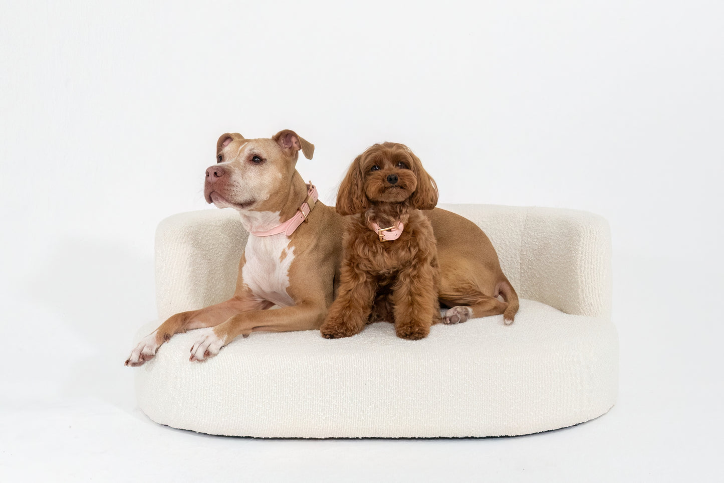 Bouclé Pet Lounge | LIMITED RELEASE | PRE ORDER ONLY