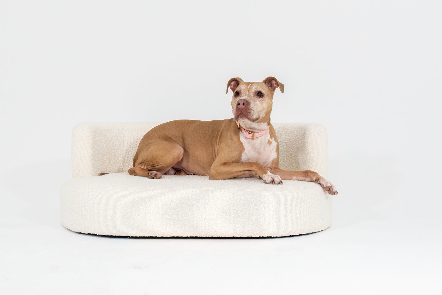 Bouclé Pet Lounge | LIMITED RELEASE | PRE ORDER ONLY