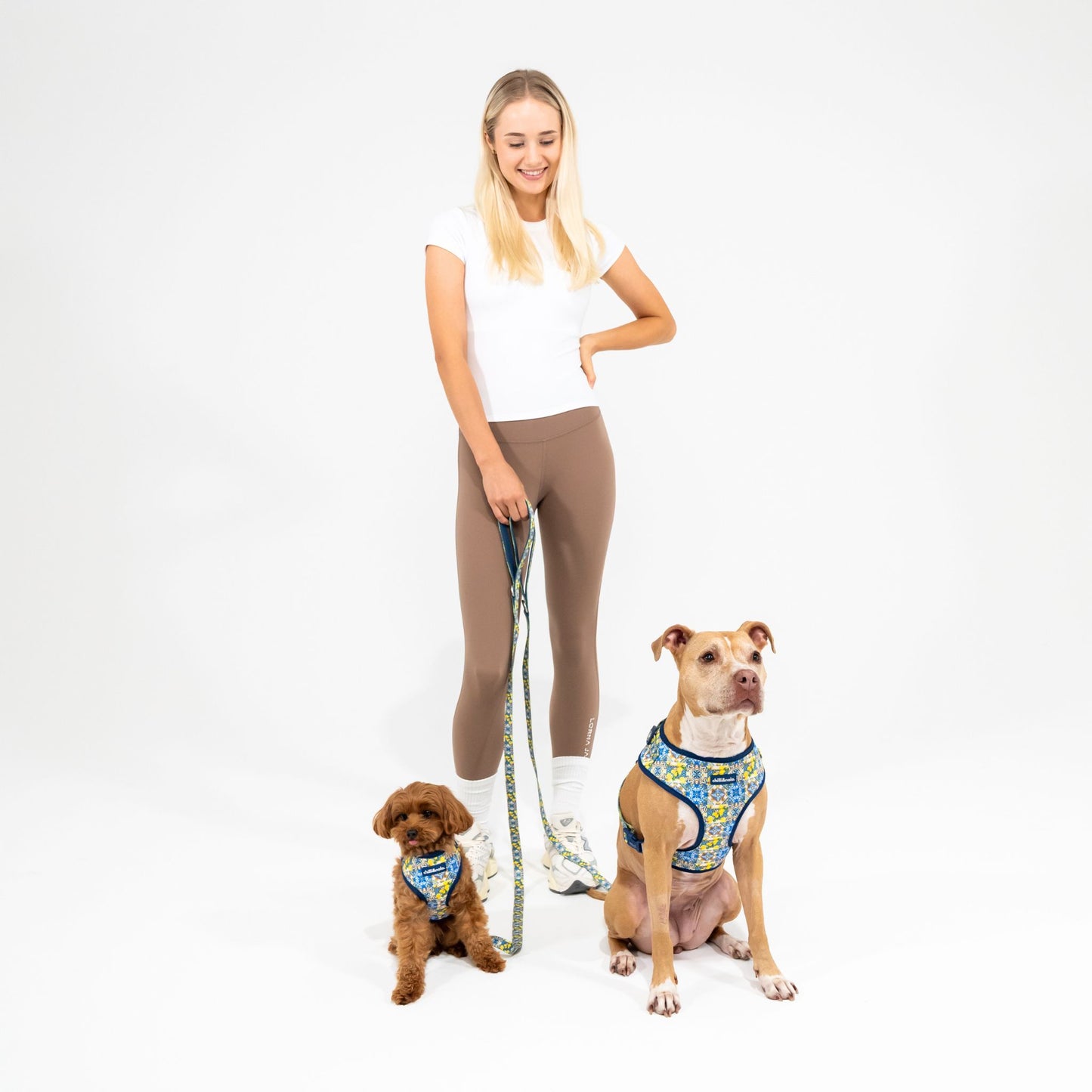 Set | Harness & Leash | Amalfi Breeze