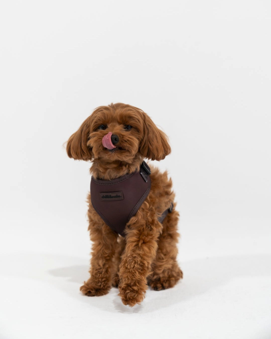 Adjustable Dog Harness | Mocha Melt - Brown