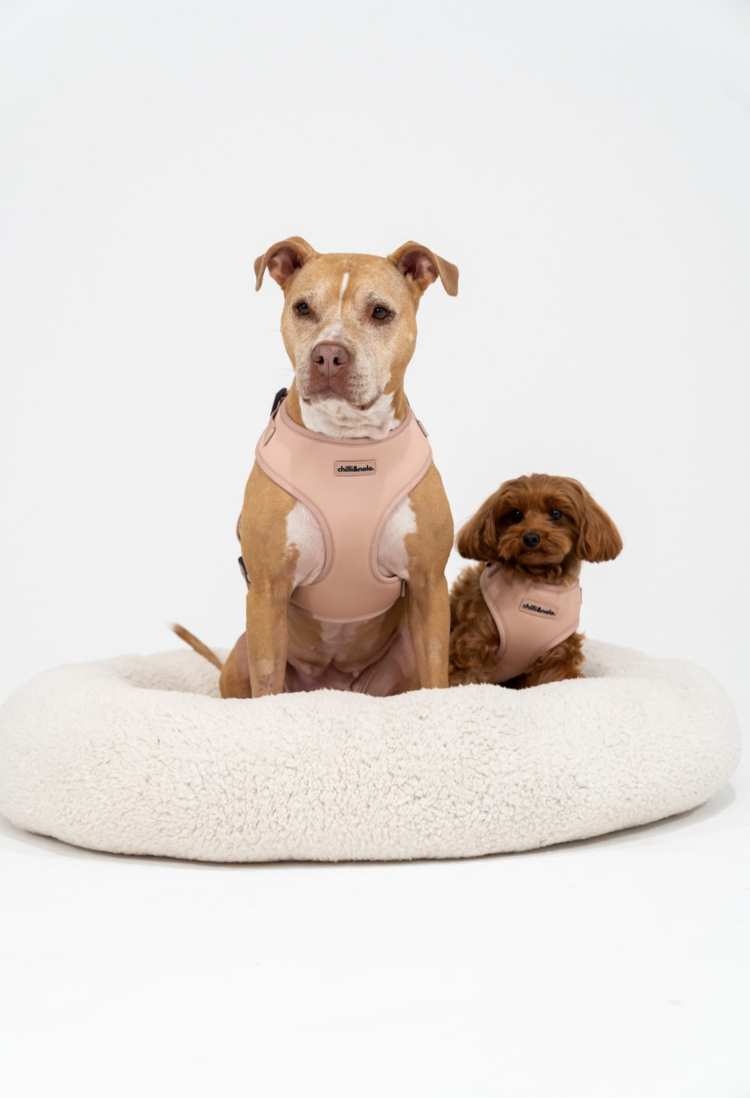 Set | Harness & Rope Leash | Bare Blush - Nude