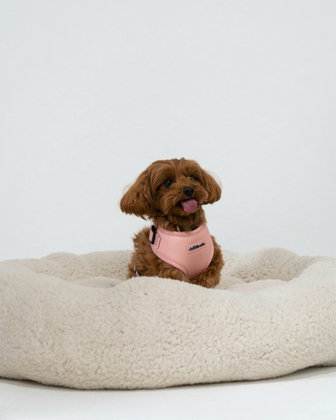 Adjustable Dog Harness | Pink Rose