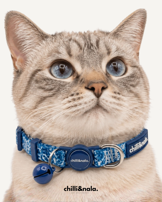 Cat Collar | Asteri Blu