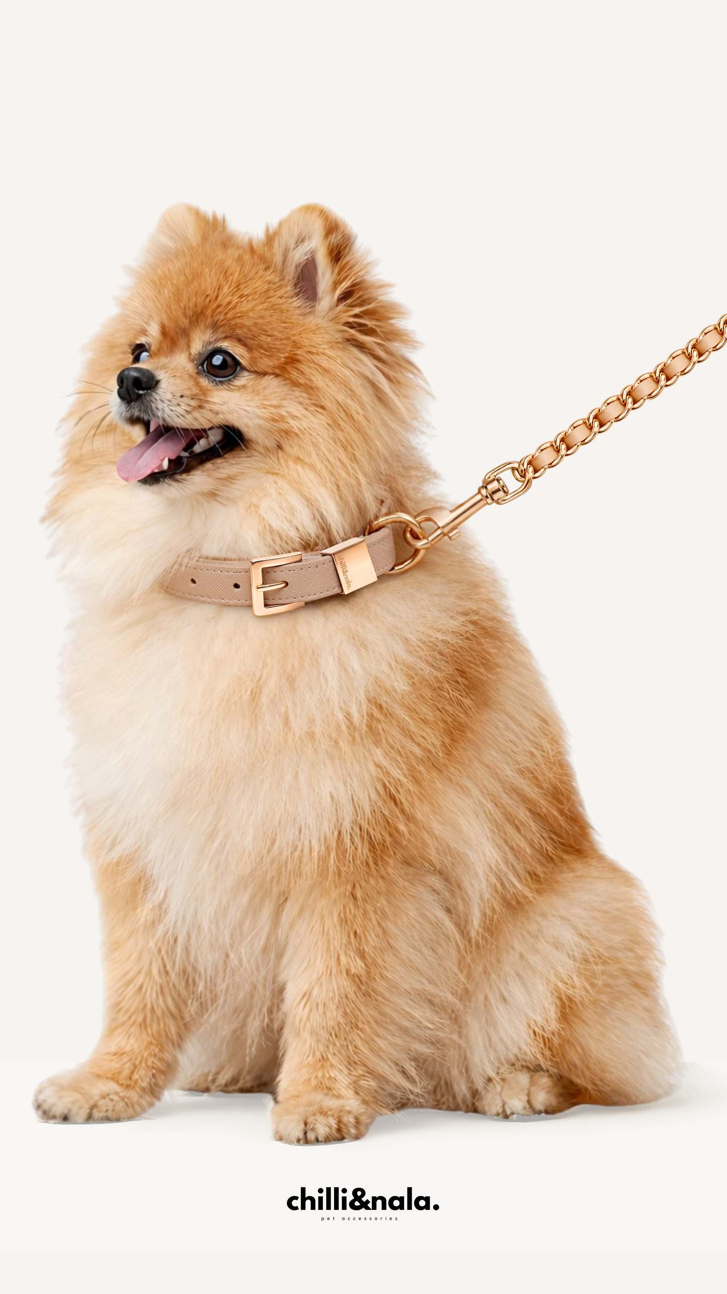 The Coco Chain & Vegan Leather Collar Set