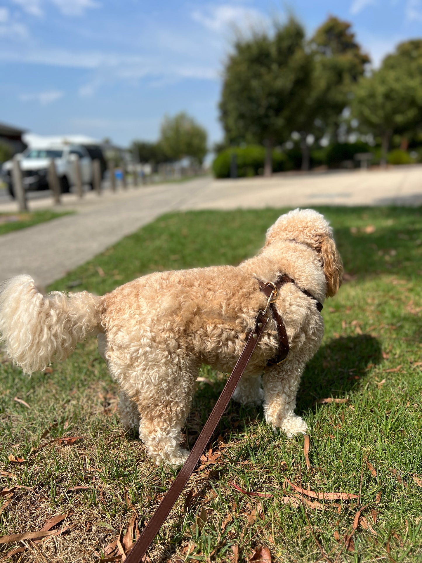 Vegan Leather Dog Leash | Brown