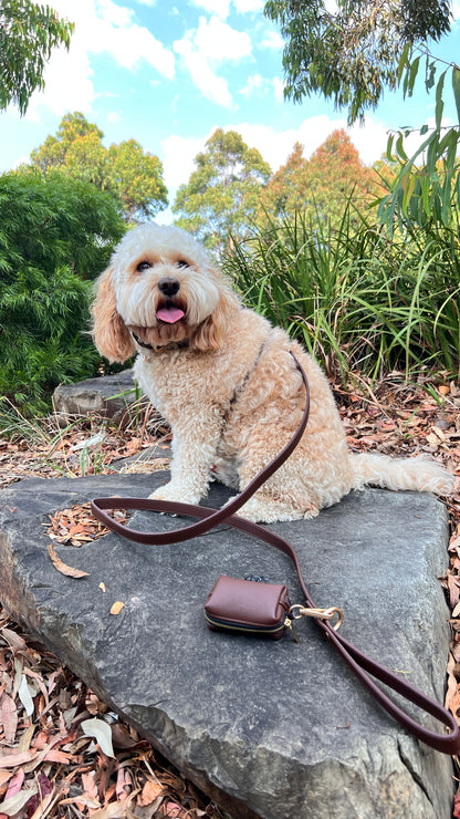 Vegan Leather Dog Leash | Brown