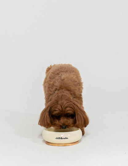Pet Bowl
