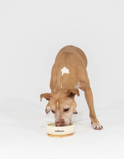 Pet Bowl