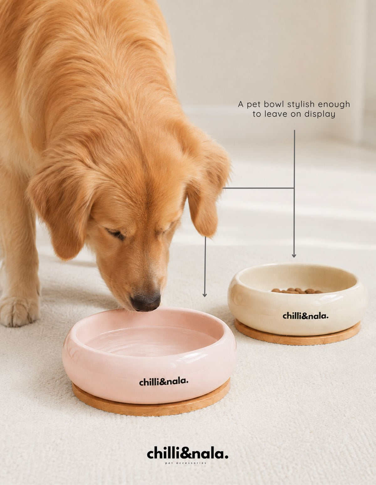Pet Bowl