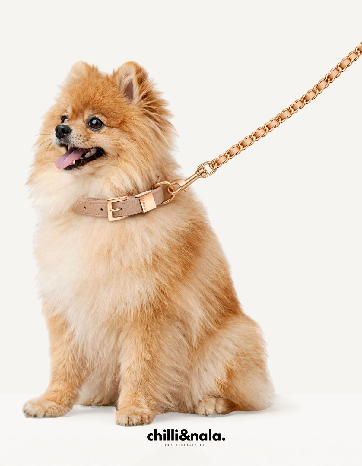 Coco Chain | Our Signature Leash