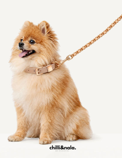 Coco Chain | Our Signature Leash