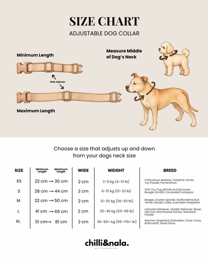 Set | Harness, Collar & Leash | Asteri Blu
