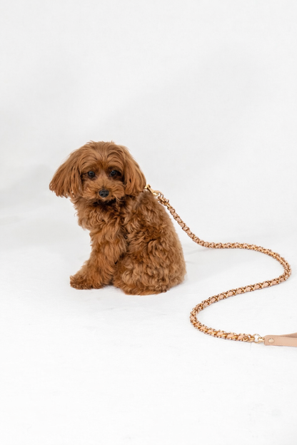 Coco Chain | Our Signature Leash