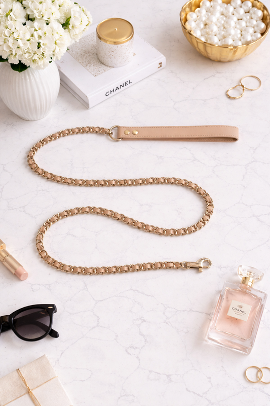 Coco Chain | Our Signature Leash