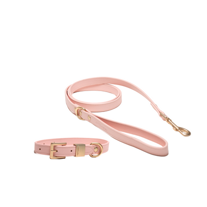 Set | Vegan Leather | Collar & Leash | Pink