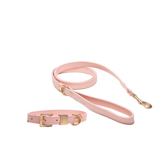 Set | Vegan Leather | Collar & Leash | Pink