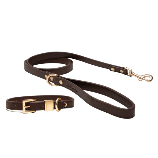 Set | Vegan Leather | Collar & Leash | Brown