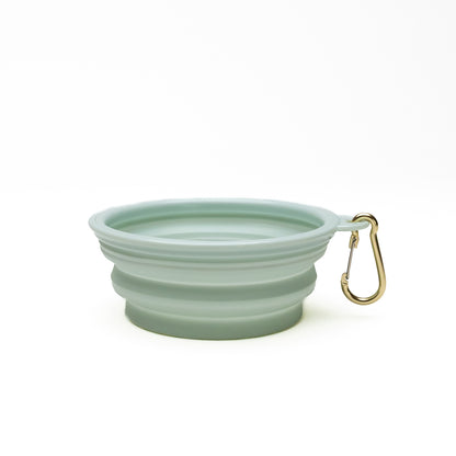 Collapsible Portable Silicone Travel Dog Bowl | Mint
