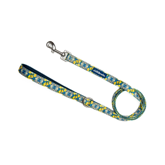 Leash | Amalfi Breeze