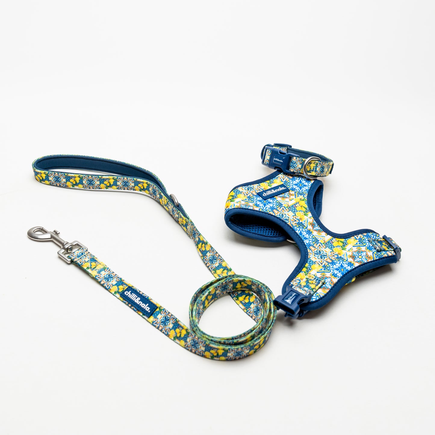 Dog Leash | Amalfi Breeze