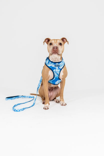 Set | Harness & Leash | Santorini Serenity