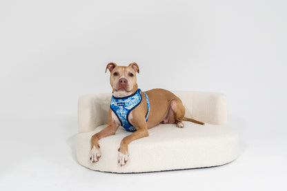 Adjustable Dog Harness | Santorini Serenity