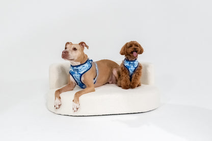 Adjustable Dog Harness | Santorini Serenity