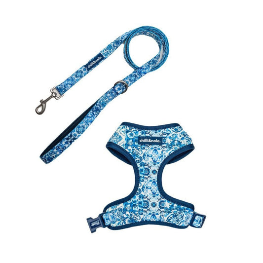 Set | Harness & Leash | Asteri Blu