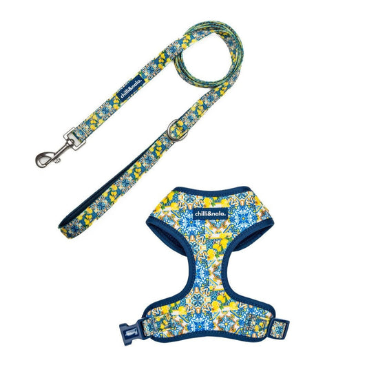 Set | Harness & Leash | Amalfi Breeze