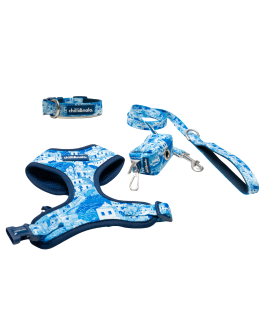 Set | Harness, Collar & Leash | Santorini Serenity
