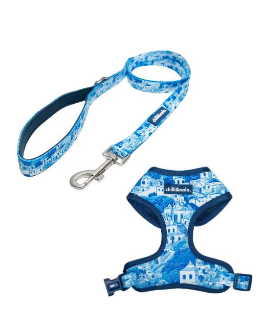 Set | Harness & Leash | Santorini Serenity