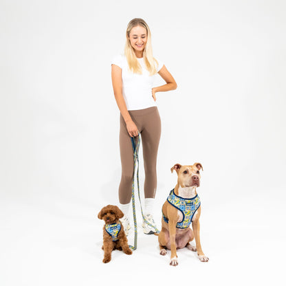 Set | Harness & Leash | Amalfi Breeze