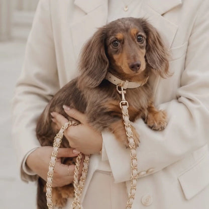 Coco Chain | Our Signature Leash