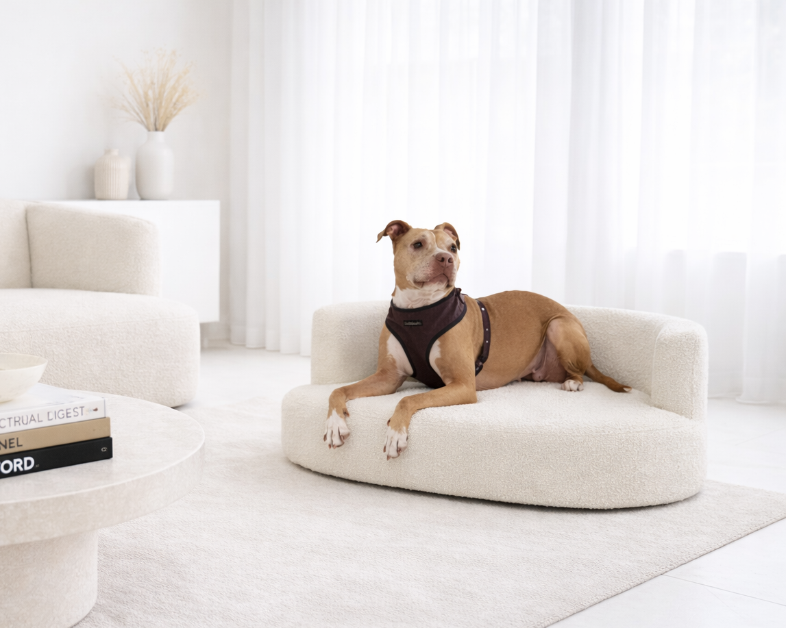 Bouclé Pet Lounge