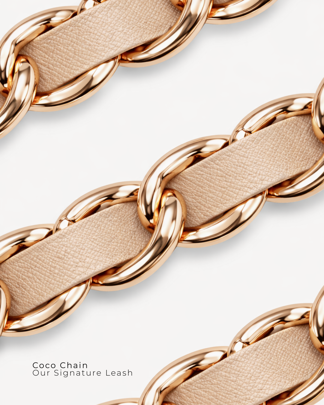 Coco Chain | Our Signature Leash