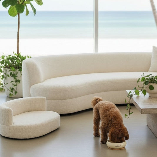 The Home Edit | Bouclé Pet Lounge + Signature Pet Bowl
