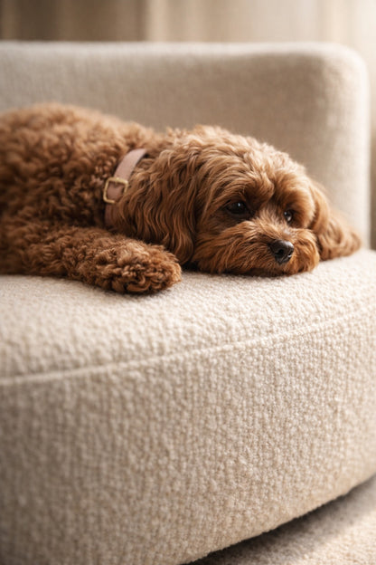 Bouclé Pet Lounge
