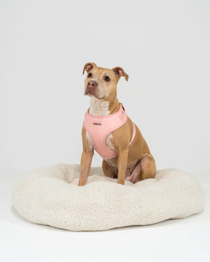 Adjustable Dog Harness | Pink Rose