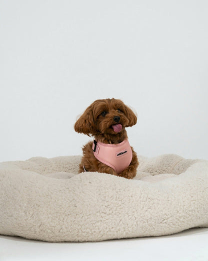 Adjustable Dog Harness | Pink Rose